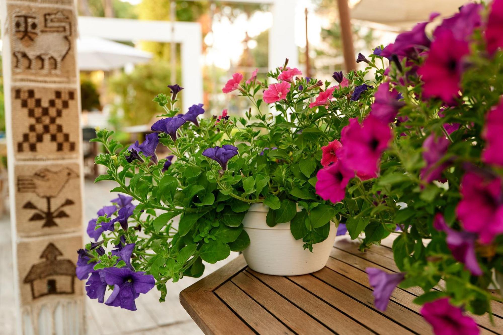 Hotel Saraceno Resort With Private Beach Milano Marittima Bagian luar foto